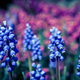 Illustration for article titled 70 Spectacular Spring Wallpapers